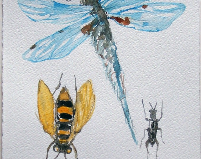 Dragonfly watercolor painting. Insect painting. Nature illustration. Watercolor original 7,5 by 11 inches. Bugs, insects painting