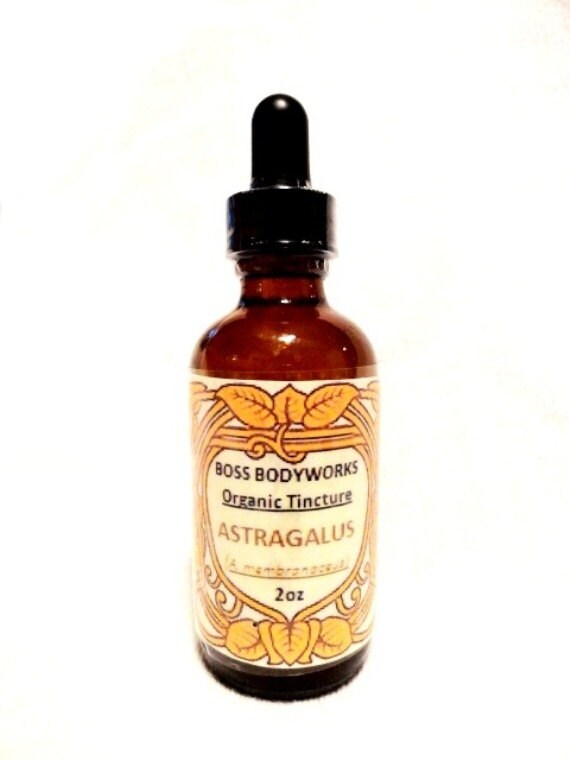 Organic ASTRAGALUS ROOT Tincture 1oz 2oz 4oz A.