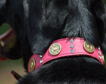 Leather Dog Collar // 12 Gauge Shotgun Shell Dog Collar