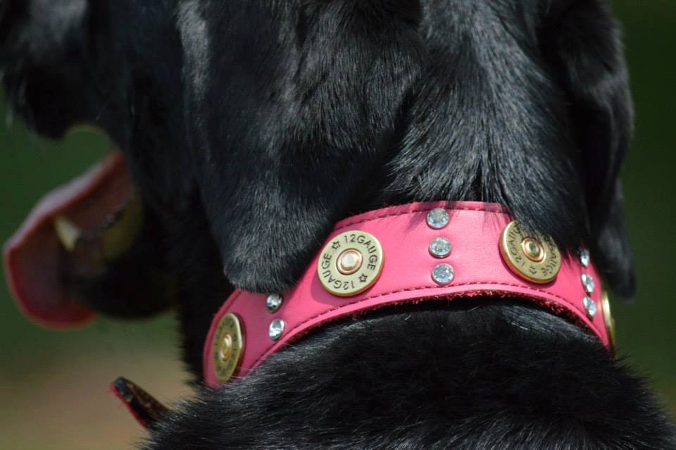 Leather Dog Collar // 12 Gauge Shotgun Shell Dog Collar