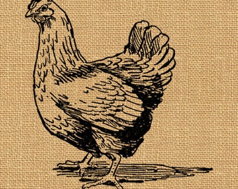 Chicken Hen Coop Farm Yard Vintage Printable Image Graphic Digital 