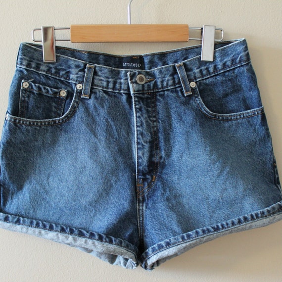 Vintage 90s High Waisted Shorts Faded Blue Size Large