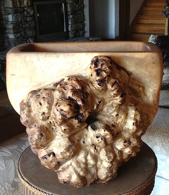 Items similar to Large Red Maple Wood Burl Stump Reclaimed 