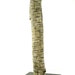 Driftwood sculpture