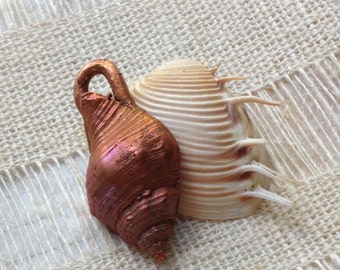 Copperclay Shell Focal by Catalina Glass