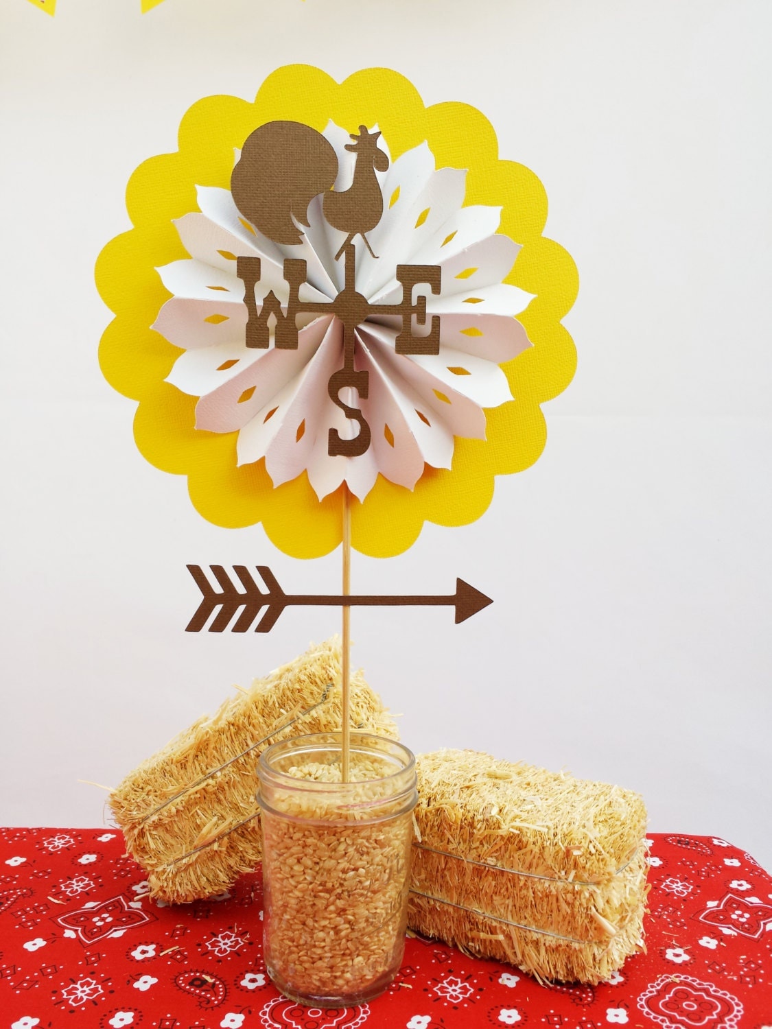 Farm Birthday Party Decorations Package Farm by EMTsweeetie