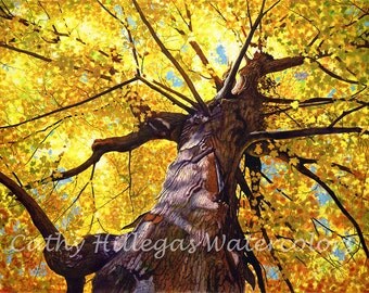 Autumn tree watercolor painting print by Cathy Hillegas, 12x16, watercolor print, gold, yellow, orange, blue, purple, brown, maple tree