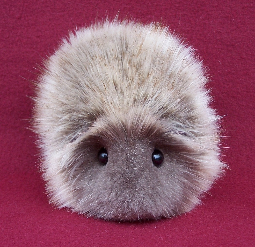 guinea pig soft toy