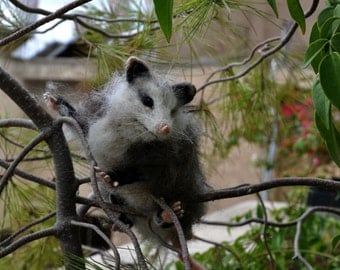 Needle Felted Animals-Opossum . Made to order