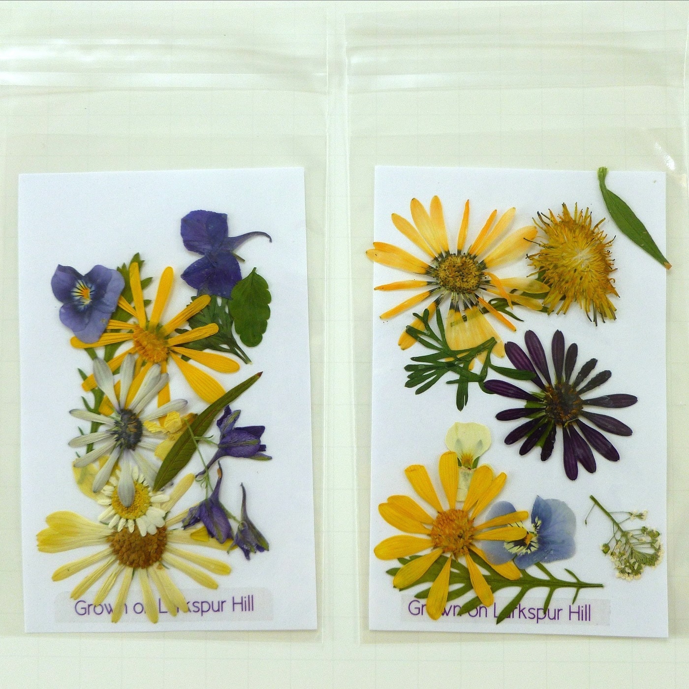 Pressed Flowers, Wedding Decor, Dried Flowers, Craft Supplies, Paper Crafts,  Decoupage – OnePaperHeart – Stationary & Invitations