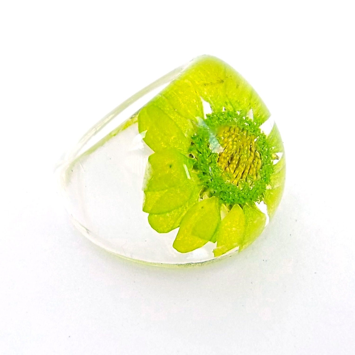 Chartreuse Chrysanthemum Daisy Resin Ring. Pressed Flower