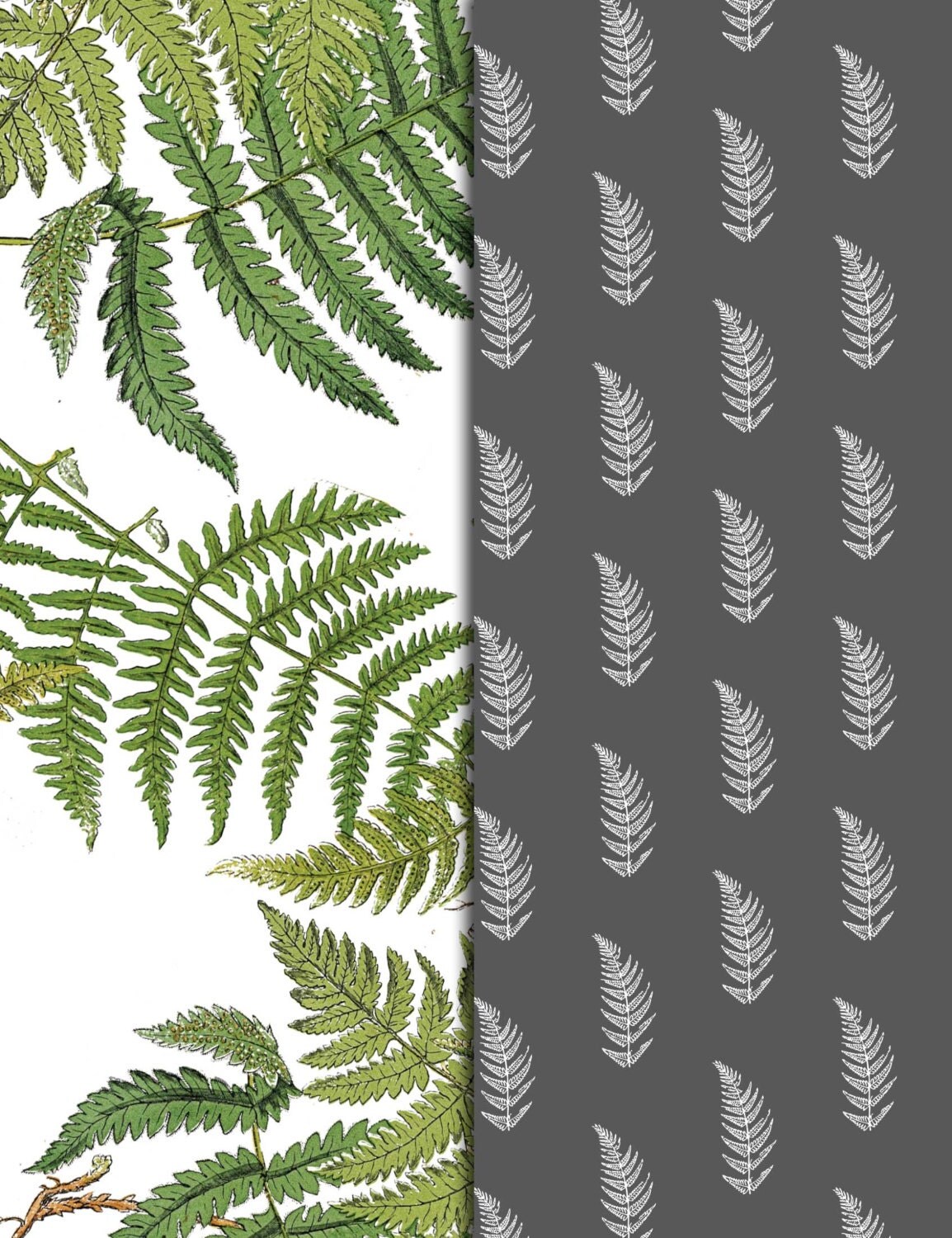 Green And Gray Fern Pattern Sheets