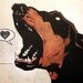 Doberman Pinscher - 8x10 Art Print - Love (Bark) - Dog