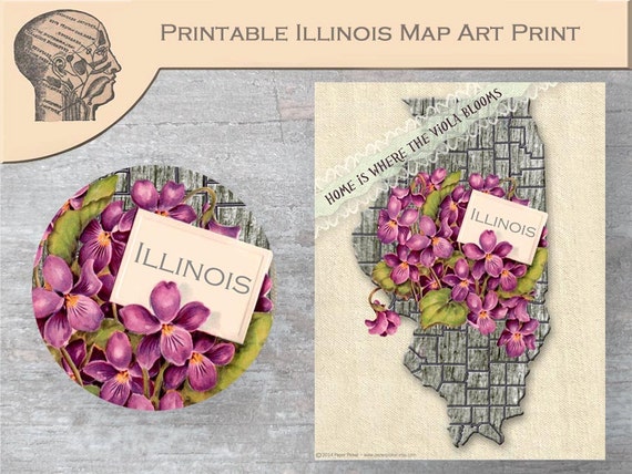 Illinois State Map Art Print Viola State Flower DIY Printable