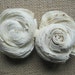 Sola Knot Flowers - Set of 12