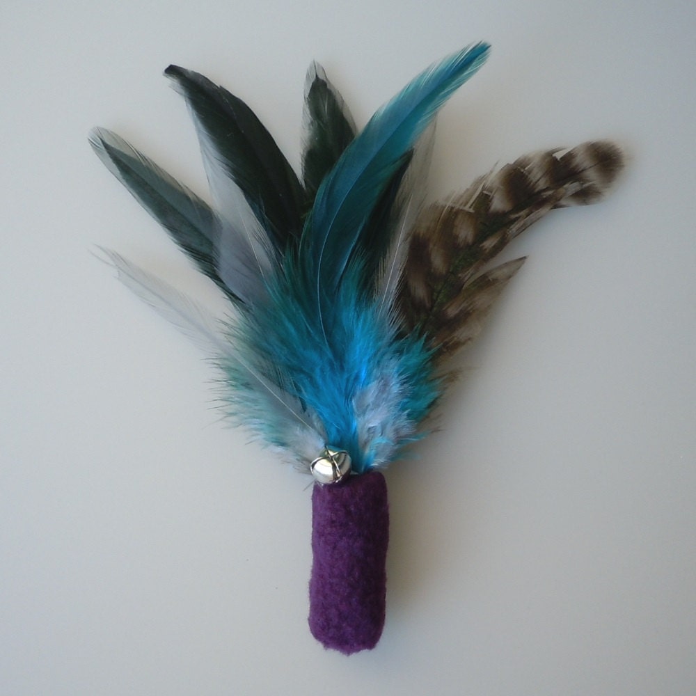 peacock feather cat toy