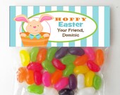 Personalized Easter Bunny Treat Tags or Labels - Easter Party, Classroom Treats, Family Fun Il_170x135