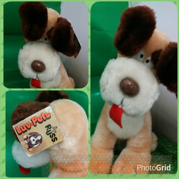 russ luv pets dog