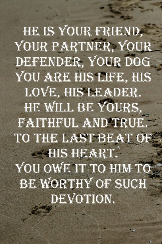 Photograph dog prints dog photograph quote about dogs