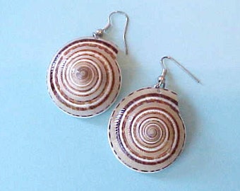 Pretty Earrings Made of Seashells in Mocha and Brown Colors