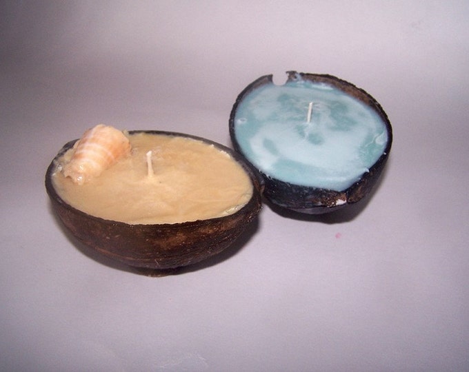 Coconut shell candles