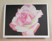 Blank Pink and White Rose Card with Envelope