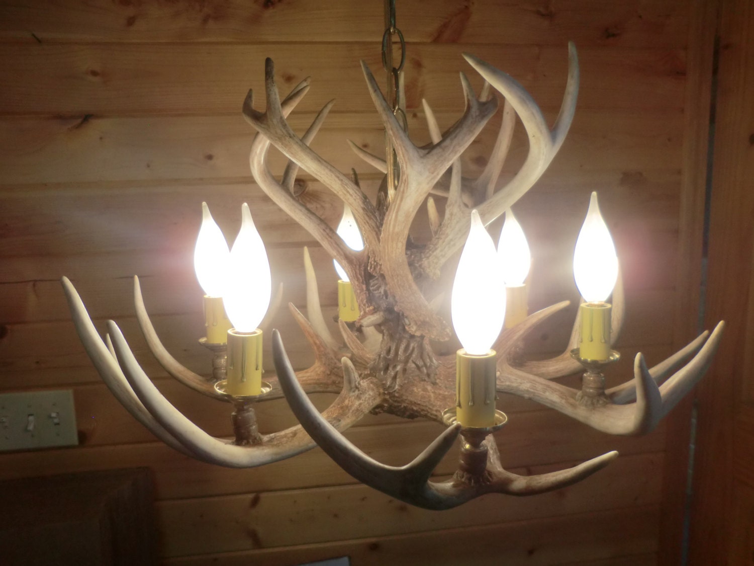 Deer Antler Chandelier 6 Light Real Antlers   Il Fullxfull.572059409 Pw0h 