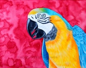 Blue And Gold Macaw Painting 8x10 Print 11x14 Print Bird painting Watercolor Print Blue and Yellow Parrot Painting Watercolor Bird Art Print