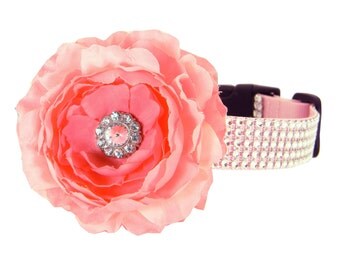 Pink Rhinestone Dog Collar Flower Set, Wedding Dog Collar Flower, Girl Dog Collar: Silver/ Blush Rhinestone