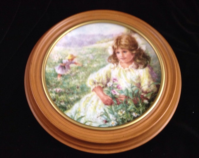 Vintage Hamilton Collection, Framed Limited Edition Collectible, Plate Erin Of Ireland, Faces of the World, Gifts For Her