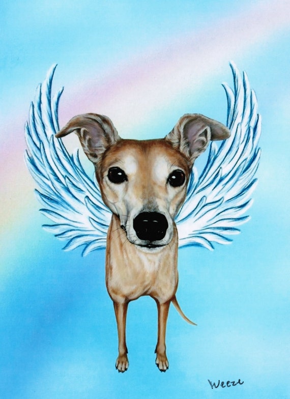 Greyhound Greyhound Angel Greyhound Art Dog Angel By Artbyweeze 