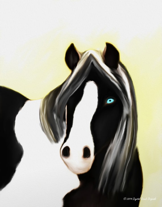 Black and White Paint Horse Print Horse by BeckyNicholsArt on Etsy