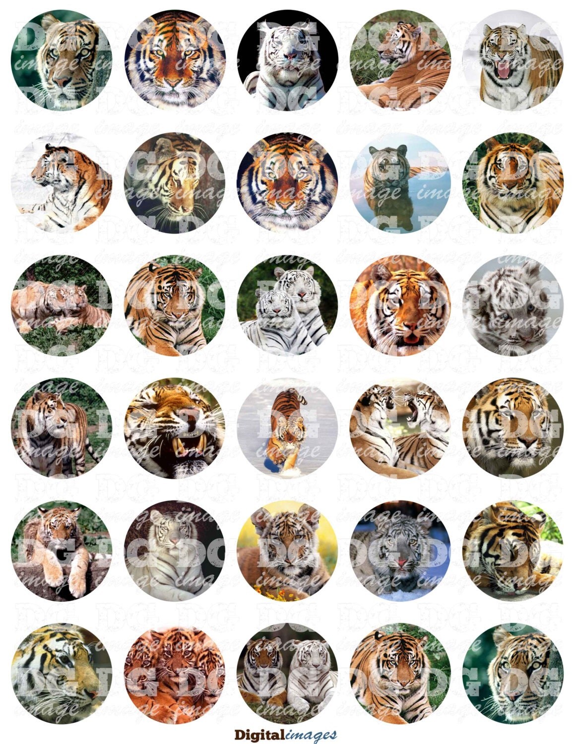 Tigers Circle Collage Sheet 1/2 20mm 1 15 2 12mm 20mm by DGImage