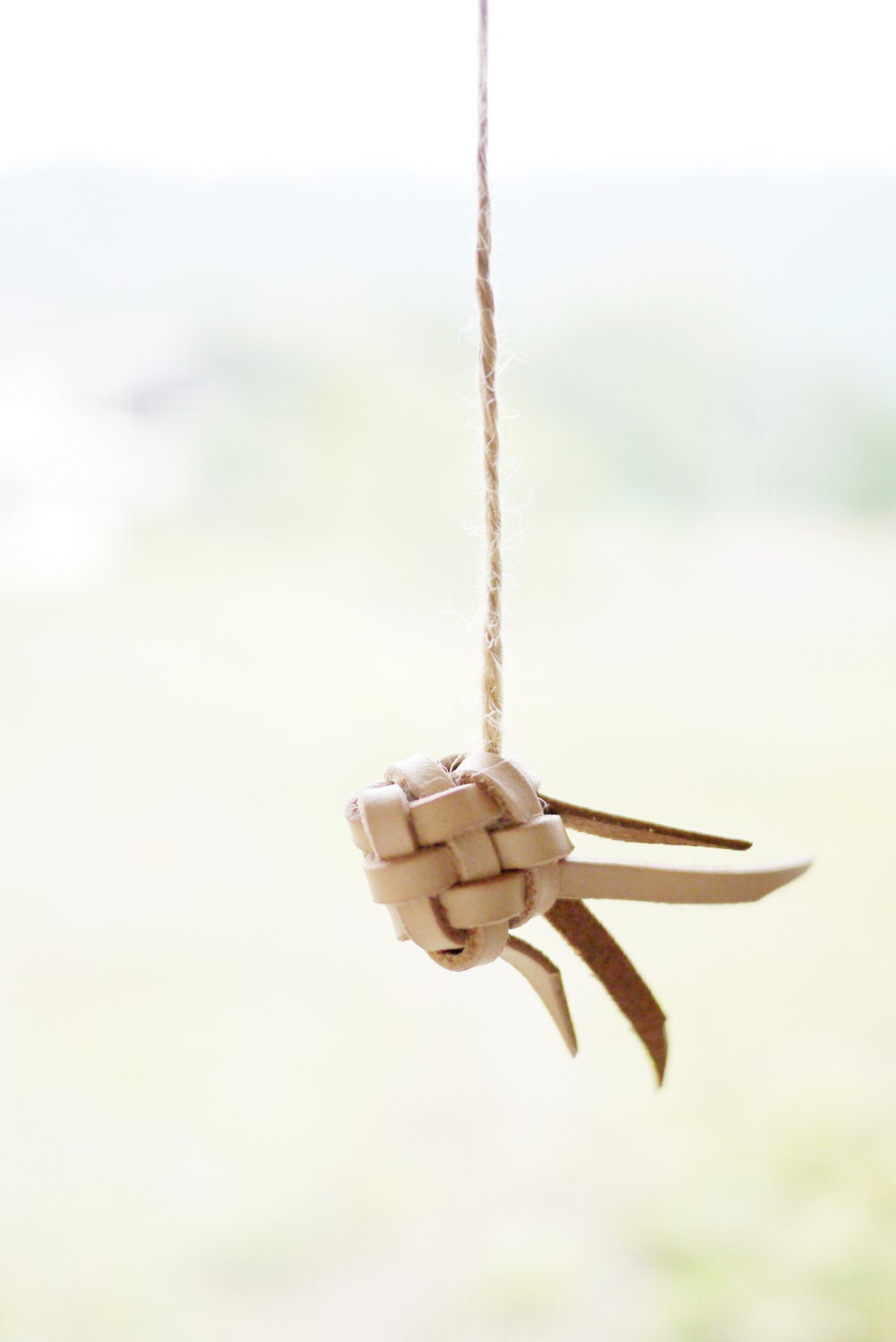 fish on a stick cat toy