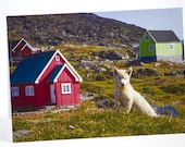 Puppy, Dog Lover, Photo Greeting Card, Birthday, Thank You, Friendship, Good Luck, Congratulations, Bon Voyage, Invitation, Retirement Puppy, Dog Lover, Photo Greeting Card, Birthday, Thank You, Friendship, Good Luck, Congratulations, Bon Voyage, Invitation, Retirement