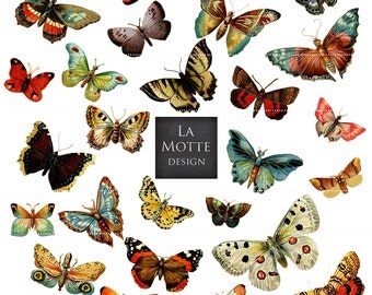 butterfly clipart butterfly scrap clipart vintage butterflies and moths 26 png + 2 letter size jpg butterfly clip art