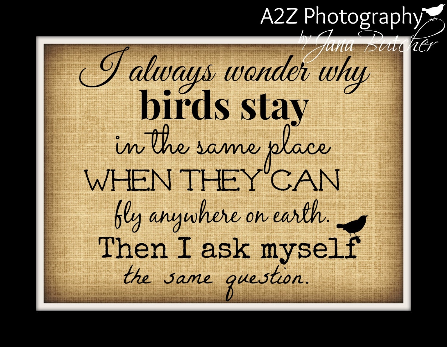 I always wonder why birds stay in the same place when they can