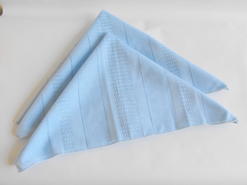 Light Blue Napkins Cotton Set of 2