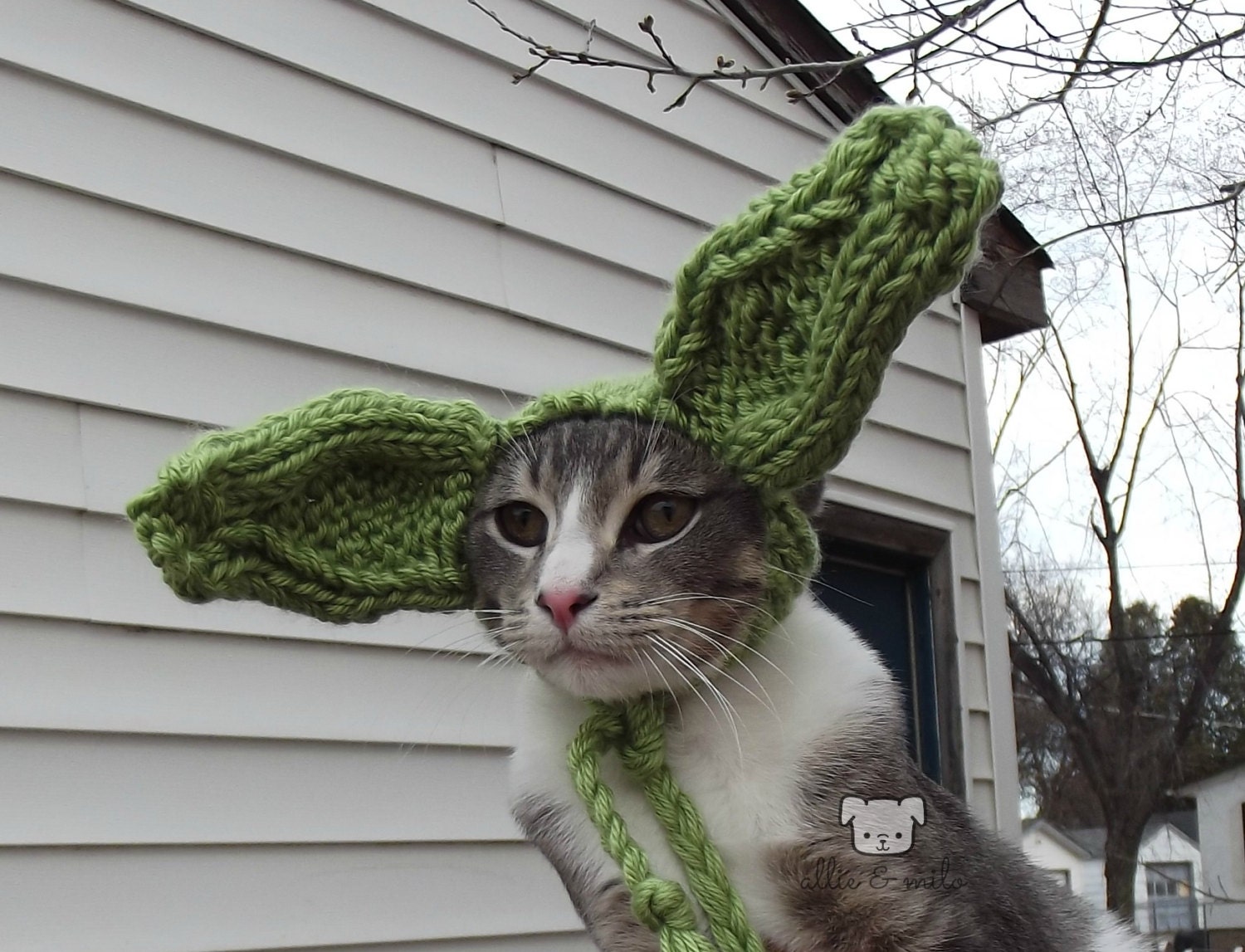 Yoda Star Wars Cat Hat Hat for a Cat