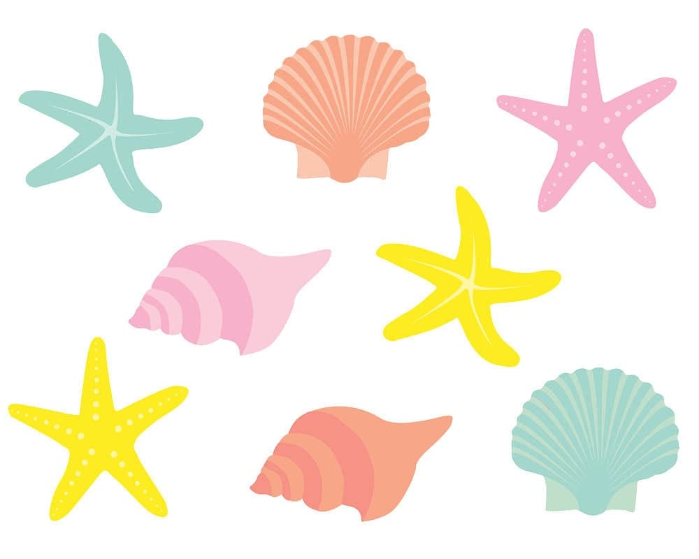 Starfish Clipart Clip Art Shells Clipart Clip by TheClipartPress