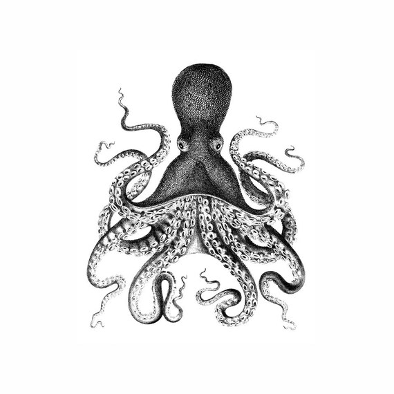 Octopus Nautical Vintage Style Art Print Black and White Grey