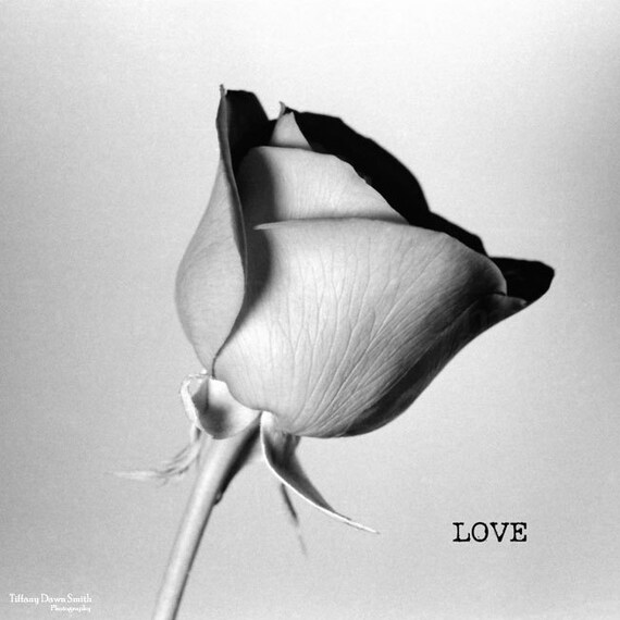 Items similar to Black and White Rose, Flower Photo, Romantic Art ...