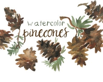 Watercolor Pinecone Clip Art for Scrapbooking Holiday Season Pine Cone Instant Download Fall Clipart Autumn Illustration Autumn Clipart