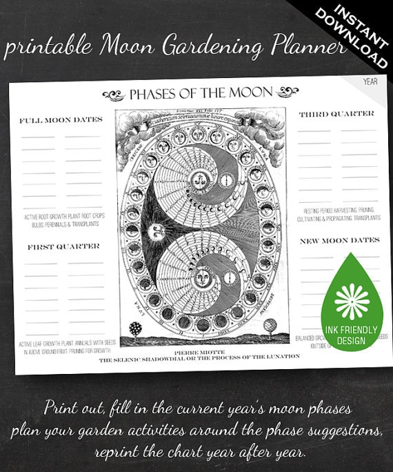 Moon Phase Gardening Chart Printable Garden Planner Page for