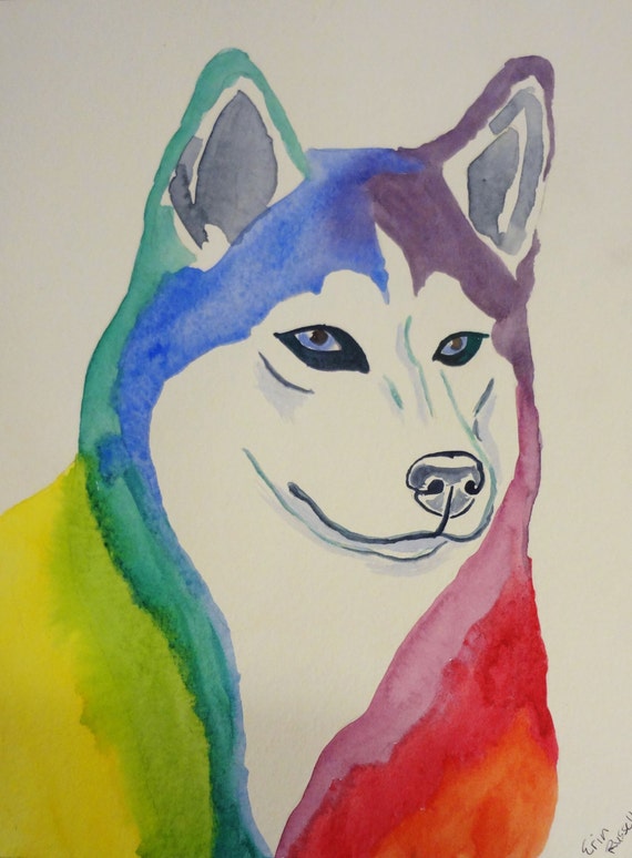 the rainbow husky