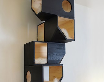 Black Catissa, Modular Cat House