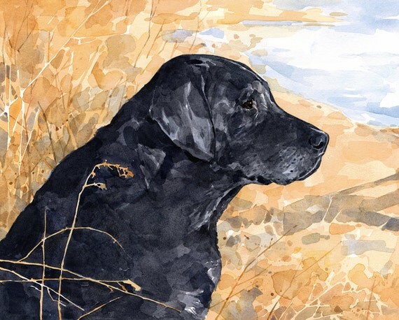Custom Pet Portrait 8x10 Dog Watercolor Painting Custom Pet Portrait 8x10 Dog Watercolor Painting