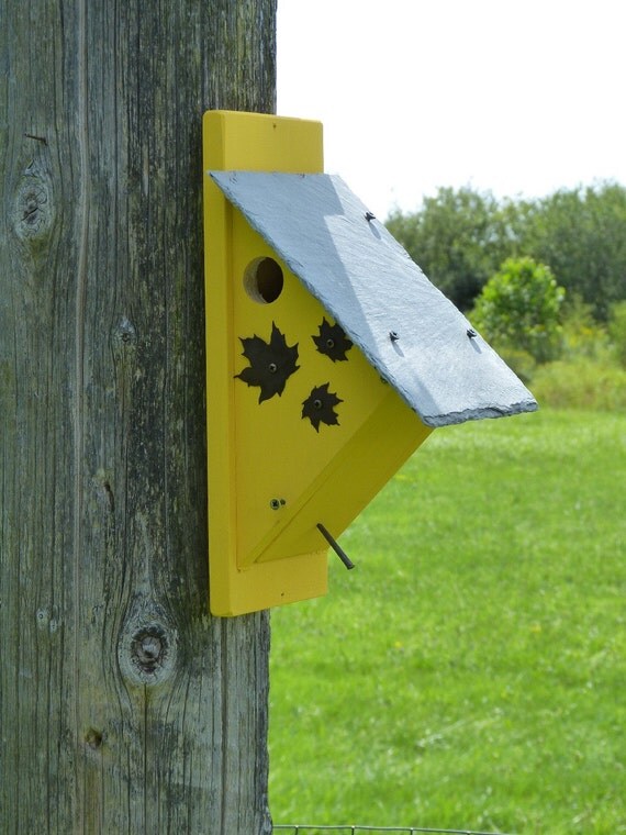 Nuthatch Birdhouse Nest Box yellow Bird House by OutOnALimbADK