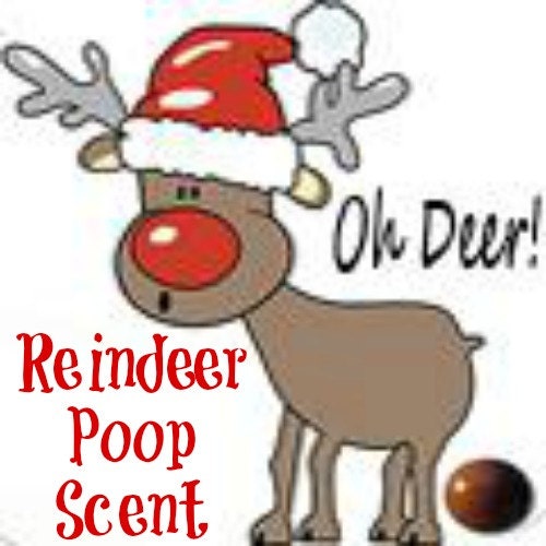 nz wax on apples REINDEER Wax ScENTED Melts POOP Soy Soy SCENTSOFHUMORCANDLES by