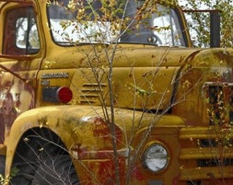 old truck, old truck photography, rusty truck, truck photography, rusty truck photography, fine art photography, truck print, rusty photo